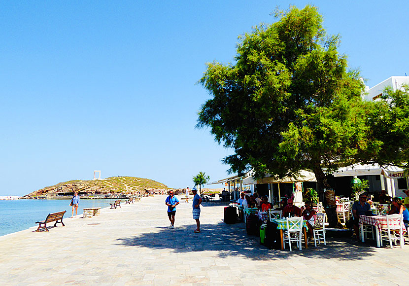 Det finns flera kaféer och tavernor i hamnen på Naxos där man kan sitta och vänta på färjan.