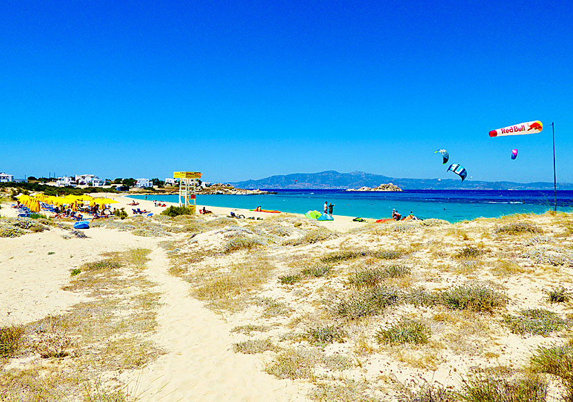 Solstolar, hotell och affärer vid Mikri Vigla beach på Naxos.