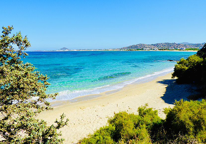 Naxos bästa stränder. Orkos beach.