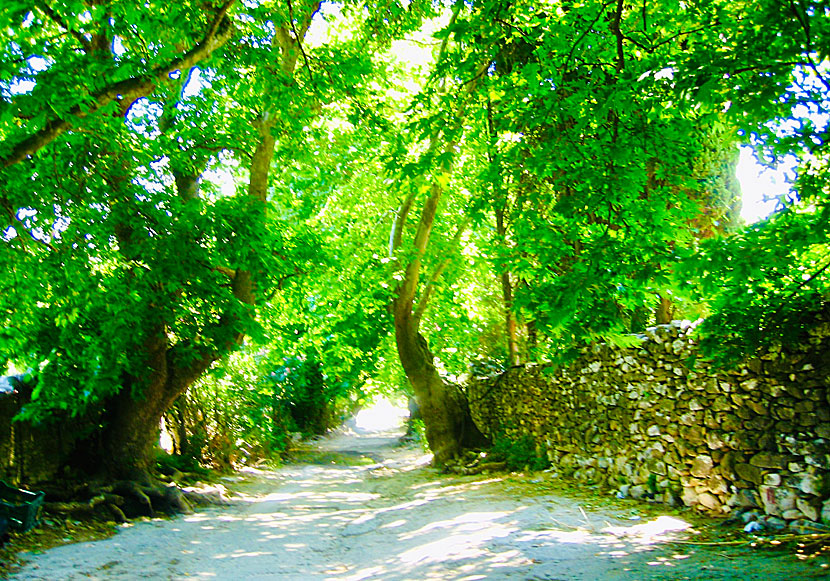Köra bil eller moped till Kouros of Melanes.
