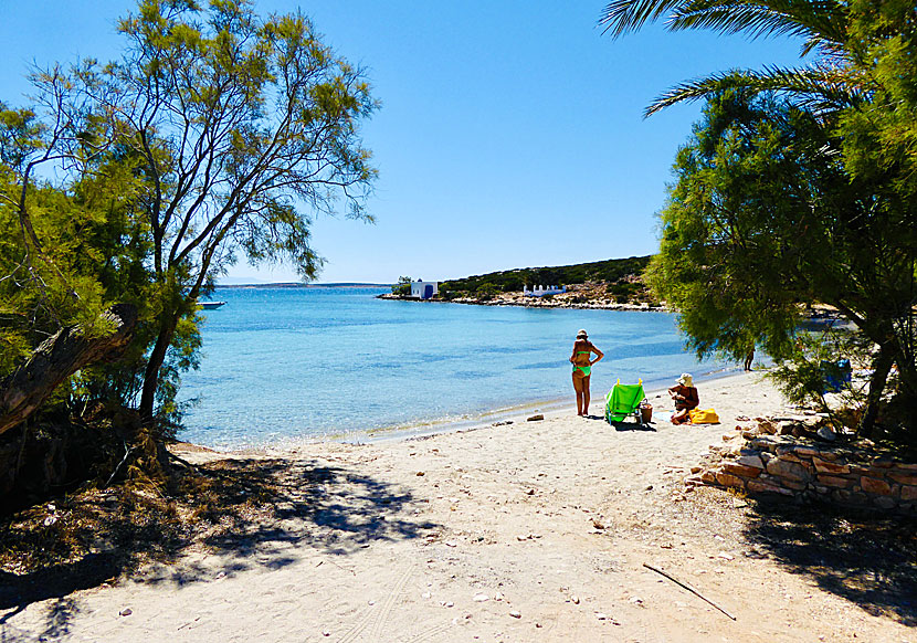 Livadaki beach på Paros i Grekland.