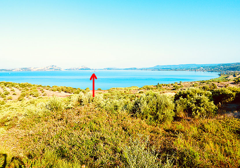På den pyttelilla ön Chelonaki island i Navarino bay finns en fyr. 