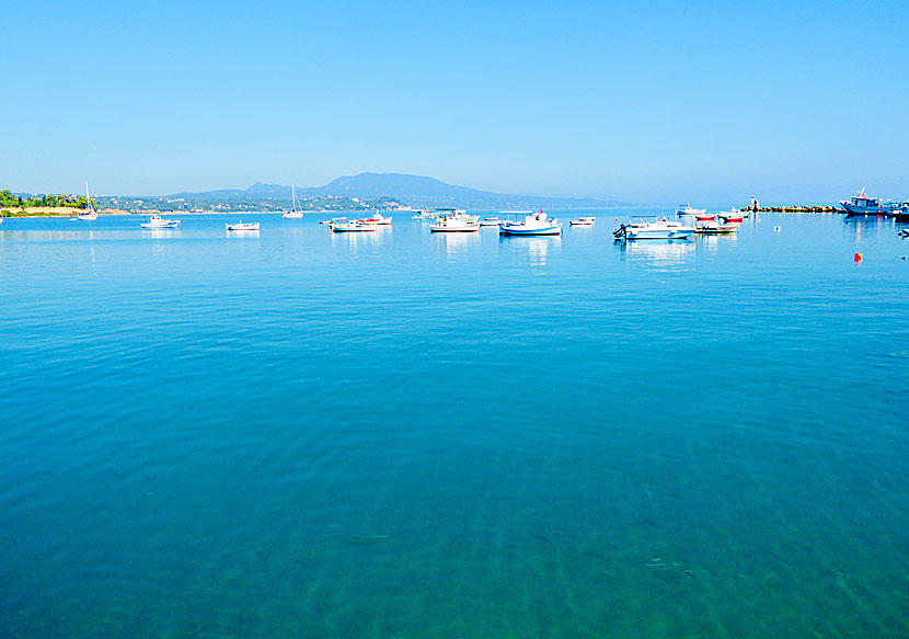 Småbåtshamnen och marinan i Koroni.