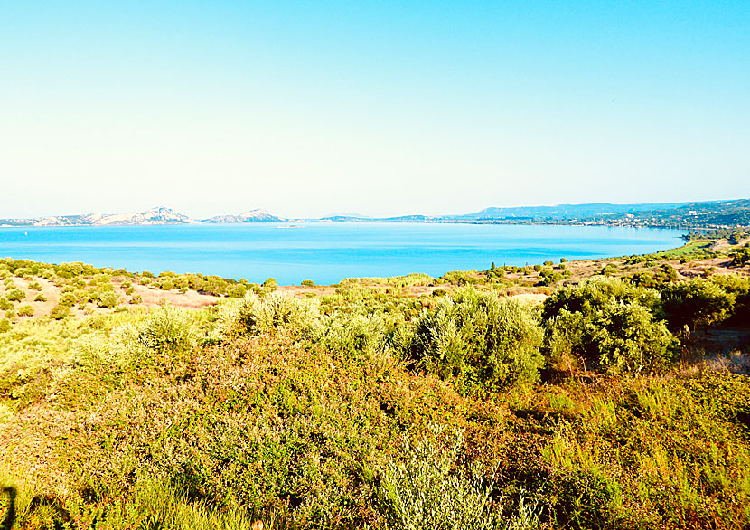 Navarino bay utanför Pylos på sydvästra Peloponnesos.