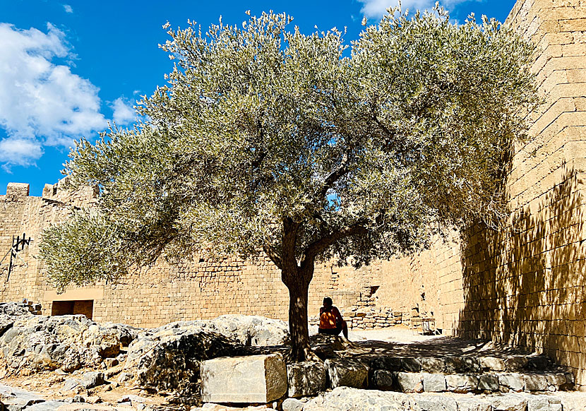 Det är dåligt med skugga och det finns inte vatten att köpa innanför murarna på Akropolis på Rhodos. 