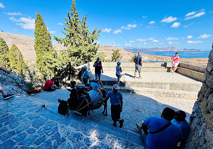 Kan man åka åsna upp till Akropolis i Lindos på Rhodos? Svaret är ja. 