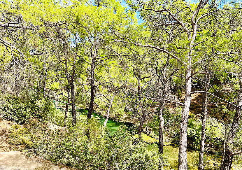 Epta Piges lake och vattenfall på Rhodos.