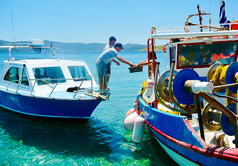 I Posidonio på Samos kan du frossa i färsk fisk och skaldjur efter badet i det kristallklara snorkelvänliga vattnet. 