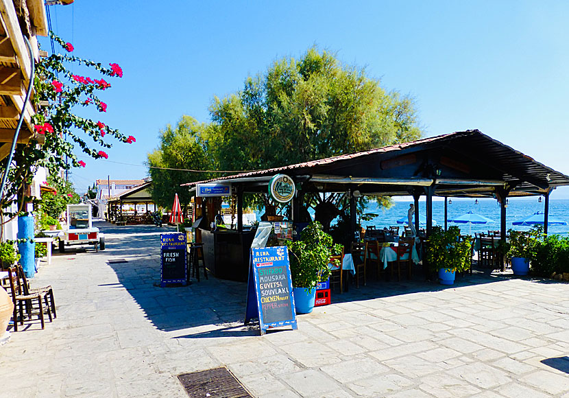 Strandnära restauranger och tavernor i Ireon på Samos i Grekland.