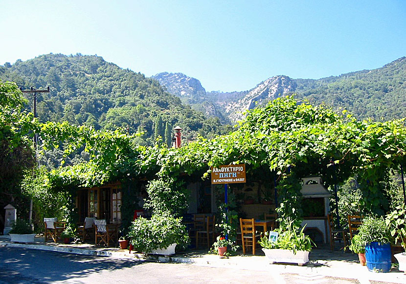Bra tavernor och restauranger i Manolates på Samos.