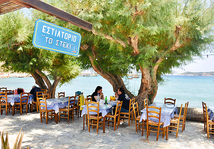 Restaurant To Steki är en av flera mycket bra tavernor i Platys Gialos på Sifnos.