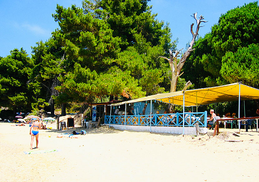 Tavernan vid Agia Eleni beach på Skiathos.