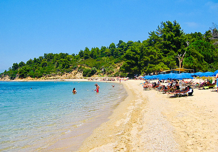 Agia Eleni beach på Skiathos i Grekland.