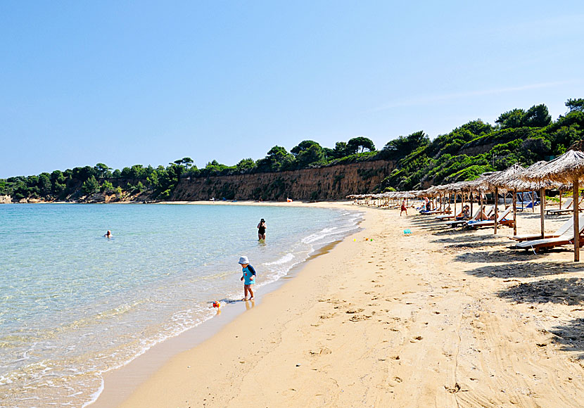 Den barnvänliga stranden Mandraki på Skiathos i Grekland.