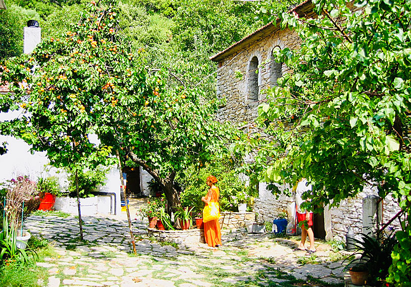 Klostret Evangelistria Monastery ligger cirka 5 kilometer norr om Skiathos stad.