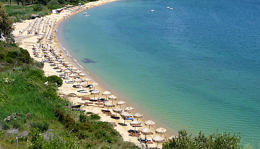 Agia Paraskevi beach. Skiathos.