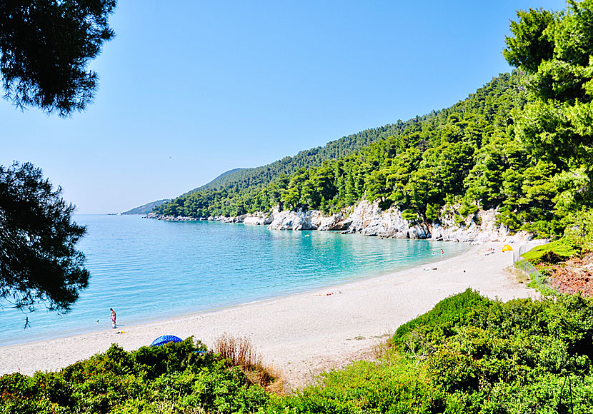 Kastani beach. Skopelos. Kreikka.