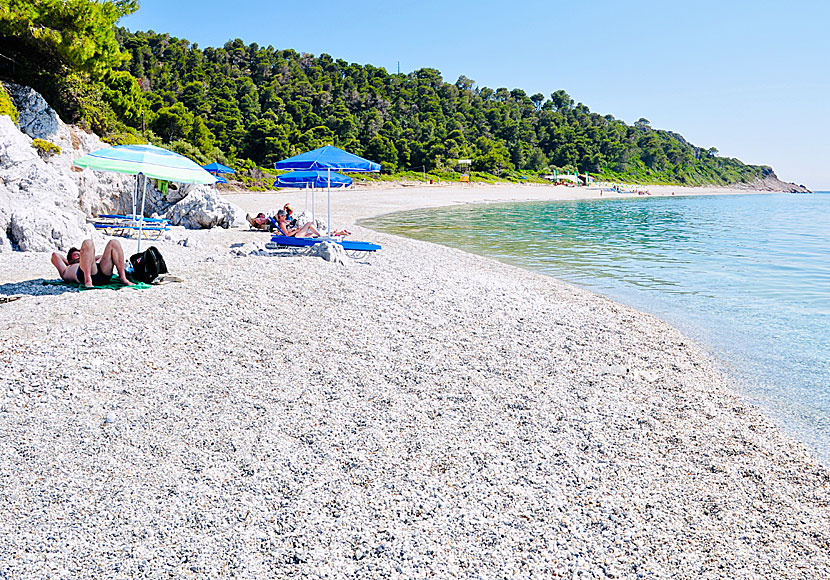 Milia beach. Skopelos. Kreikka.