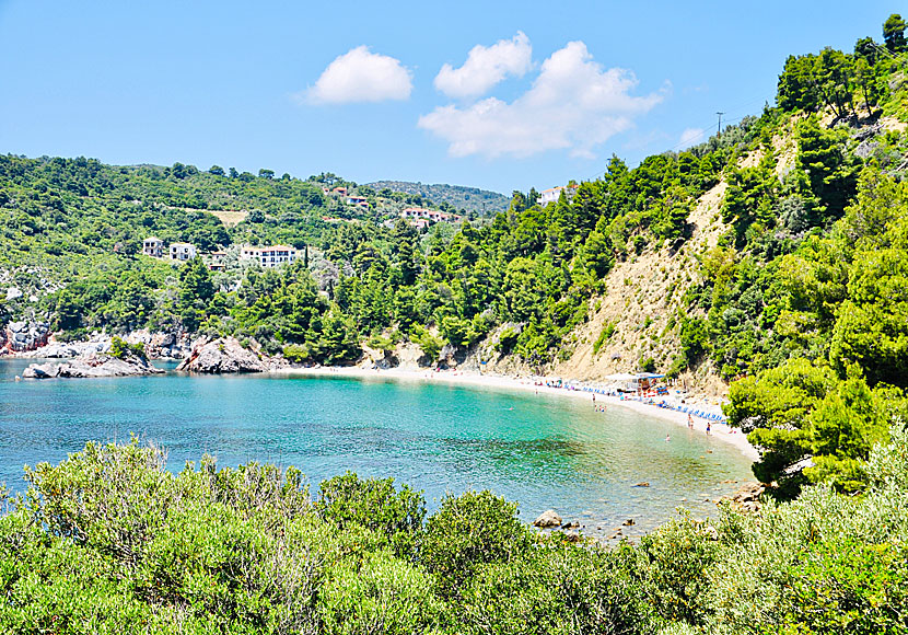 Stranden i Stafilos på Skopelos i ögruppen Sporaderna.