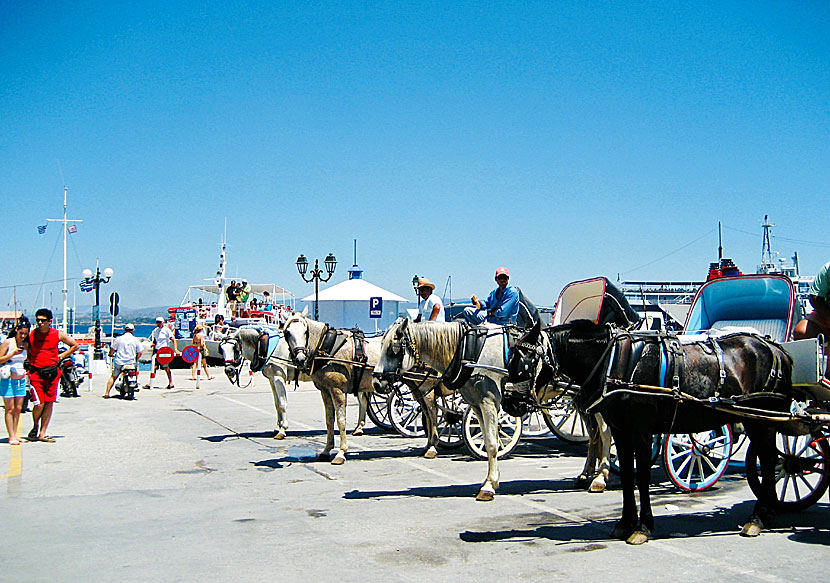 Det finns ingen taxi på Spetses men det finns många hästdroskor. 