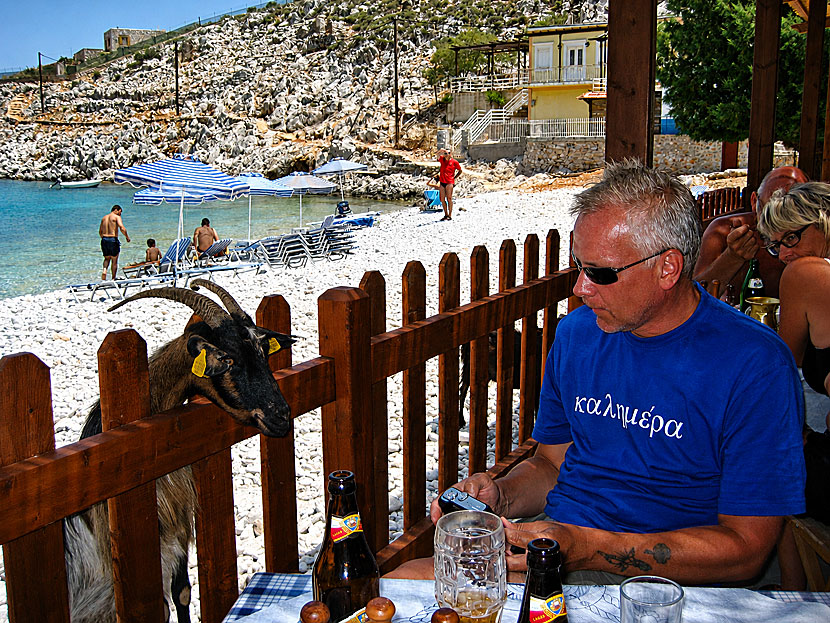 Kalimera Janne p&aring; Symi i Grekland.