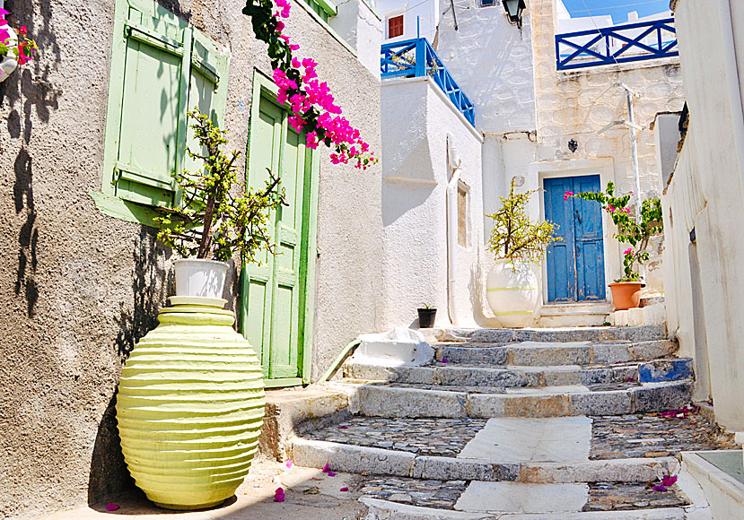 Vackra hus, gränder, balkonger, blommor, dörrar och fönster på Syros i Grekland.  