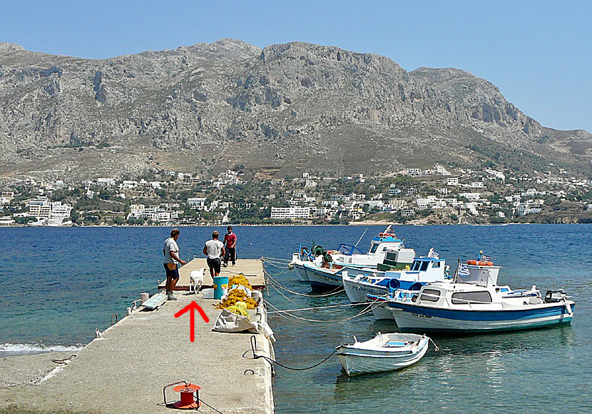 Åka båt mellan Telendos och Kalymnos i Grekland.  
