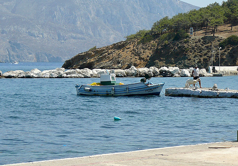 Färgglada fiskebåtar i hamnen på Telendos.   