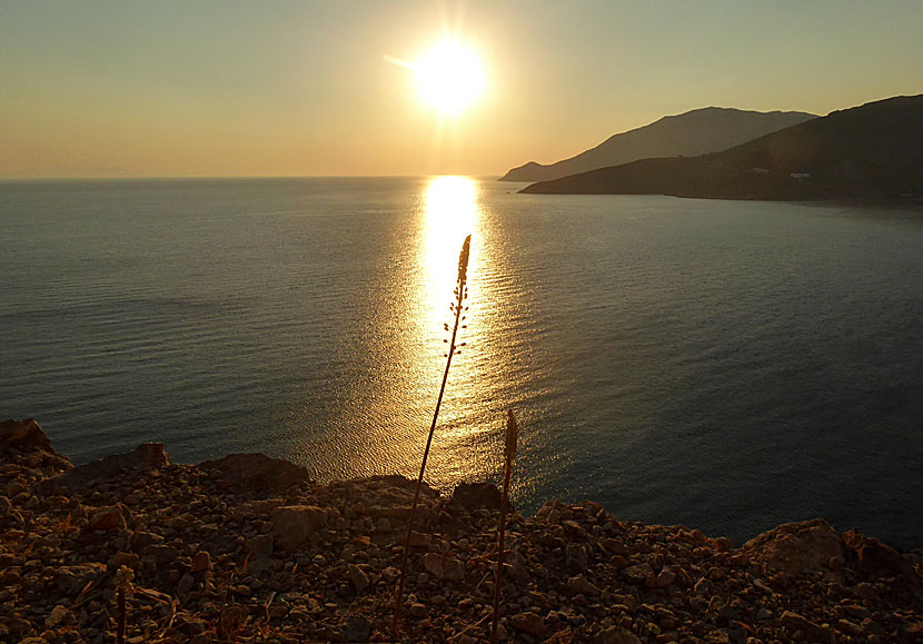 Sjölök i soluppgången längs vägen till Lethra beach på Tilos.
