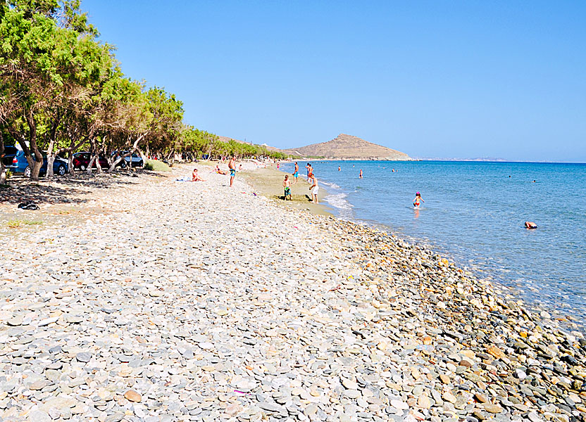Tinos bästa stränder. Agios Fokas beach.