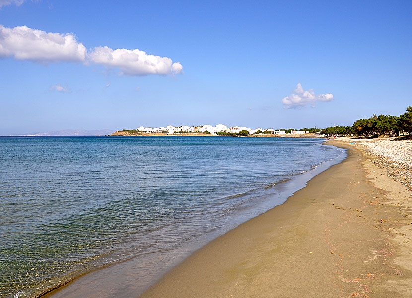 Agios Fokas beach på Tinos.