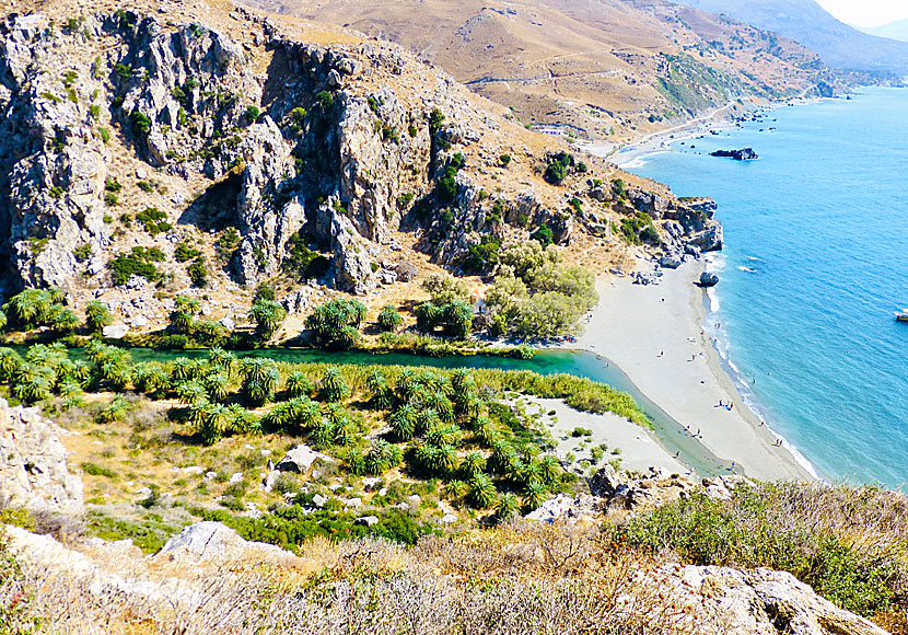 Preveli är en av kändaste stränderna i Rethymnon på Kreta.