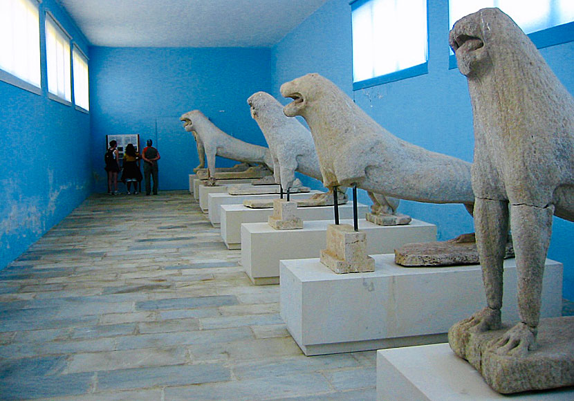 De berömda lejonen finns nu i museet på Delos.