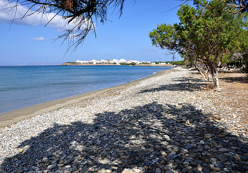 Agios Fokas beach nära Tinos stad.