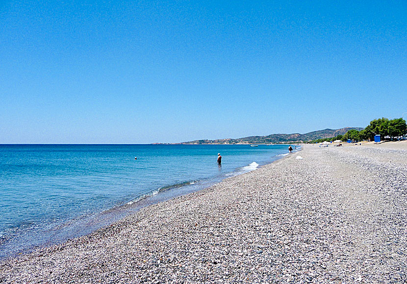 Vatera beach på Lesbos är en av de längsta stränderna i hela Grekland.