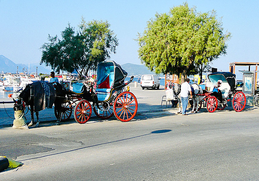Hyra bil och moped på ön Egina nära Aten. Du kan även hyra en hästdroska. 