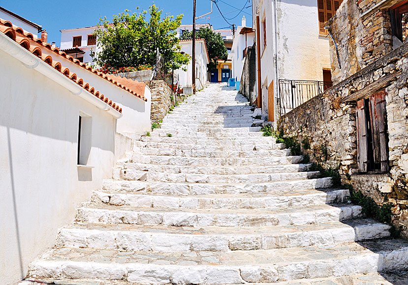 Glossa är en Skopelos näst största by. Bra tavernor och restauranger. 