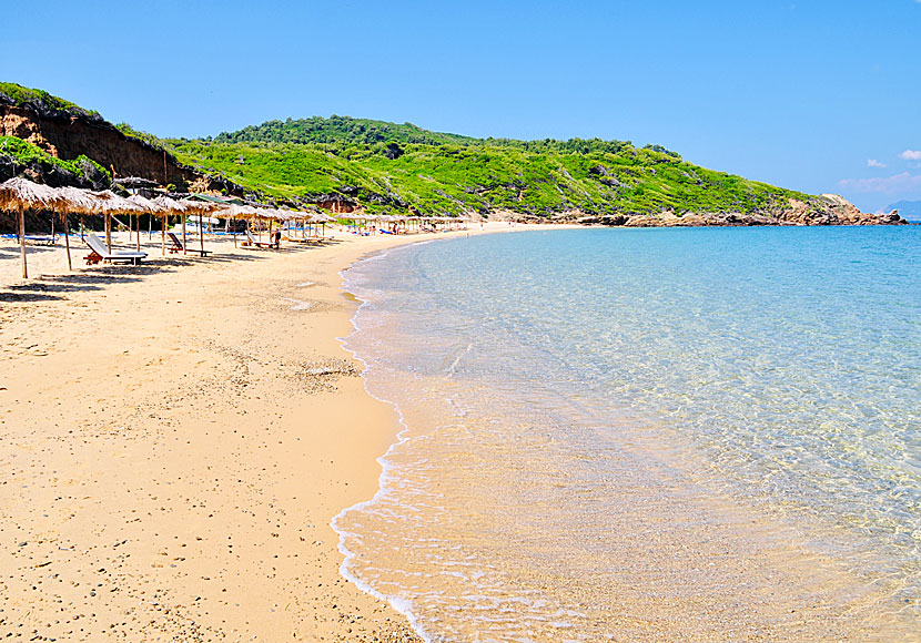 Skiathos har fler fina sandstränder än någon annan ö i Grekland, som Mandraki beach är ett bra exempel på. 