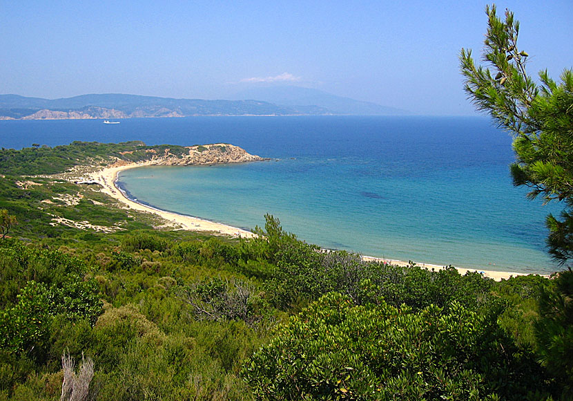 På Skiathos finns det fler fina sandstränder än på någon annan ö i Grekland.