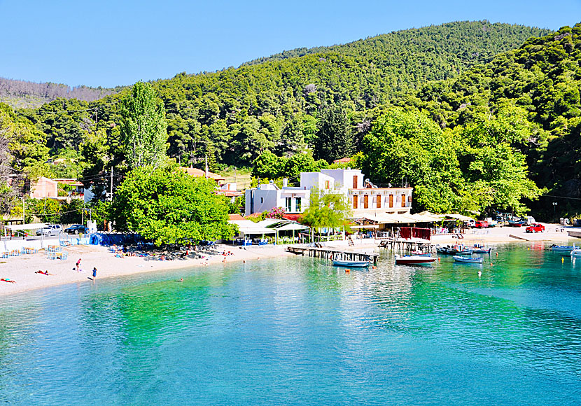 Byn och stranden Agnontas på ön Skopelos i Sporaderna får man inte missa. 