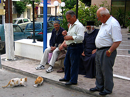 Katter på Karpathos.