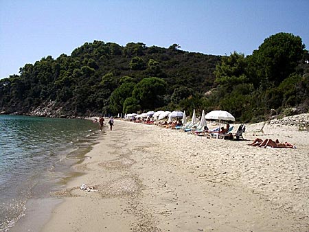 Albenakia beach på Skiathos.