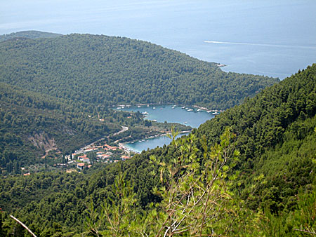 Skopelos. Utsikt mot byn Panormos och naturhamnen Blo.