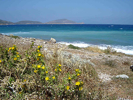 Stranden i Agios Antonios. Tilos.