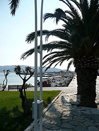 Fiskehamnen i Karystos på Evia.
