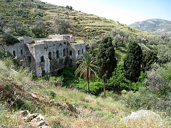 Naxos. Kalamitsia