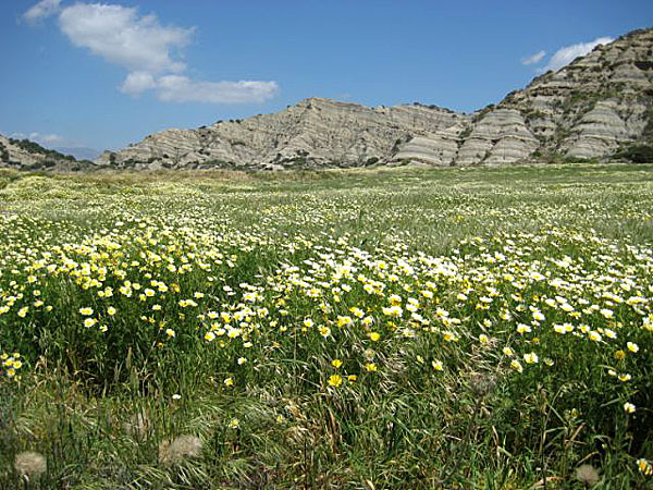 Rhodos. Västkusten.