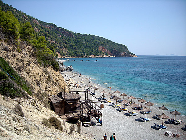 Velanio beach. Skopelos.