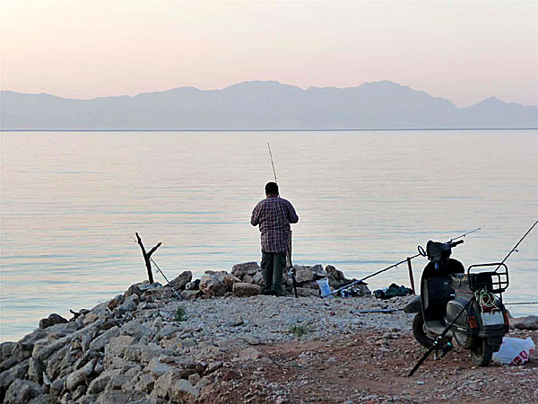 Kvällsfiske i Livadiabukten, på andra sidan syns Turkiet som en hägring. Tilos.