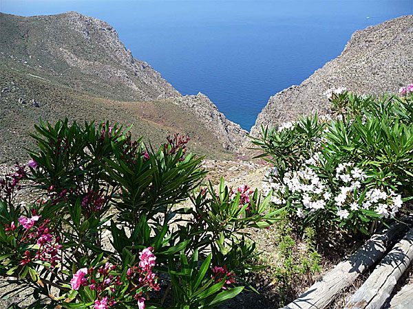 Uppe vid klostret Agios Pandeleimon.  Tilos.